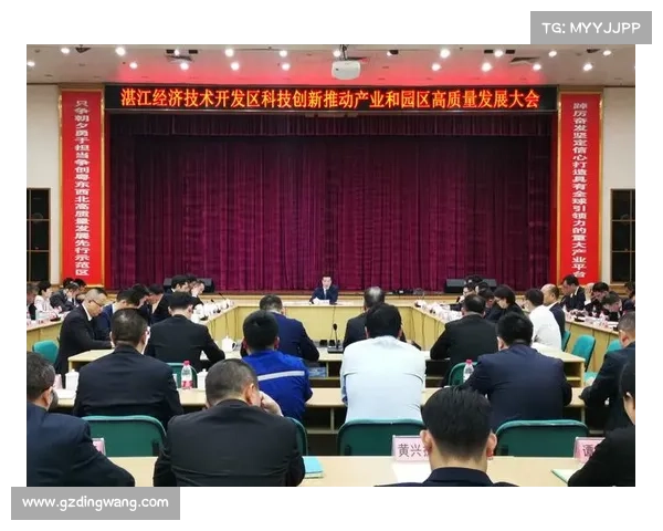 以区胆为核心的战略部署与创新实践分析:推动区域经济高质量发展 以区胆为核心的战略部署与创新实践分析:推动区域经济高质量发展